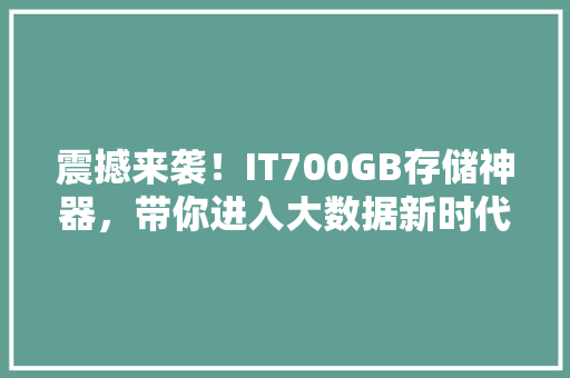 震撼来袭！IT700GB存储神器，带你进入大数据新时代！ 神马SEO