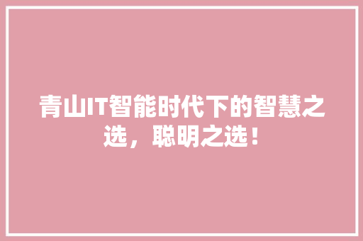 青山IT智能时代下的智慧之选，聪明之选！
