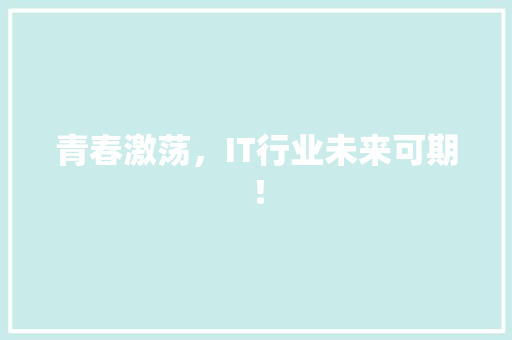 青春激荡，IT行业未来可期！