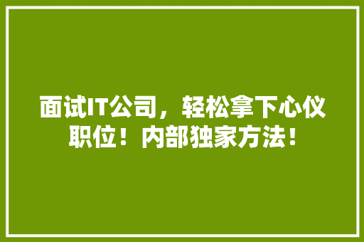 面试IT公司，轻松拿下心仪职位！内部独家方法！