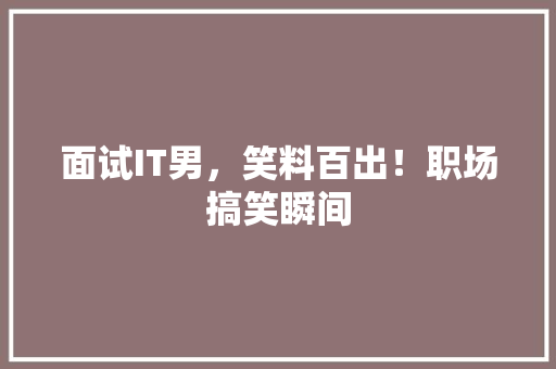 面试IT男，笑料百出！职场搞笑瞬间