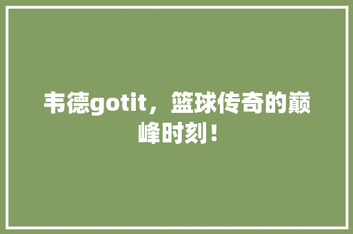 韦德gotit，篮球传奇的巅峰时刻！