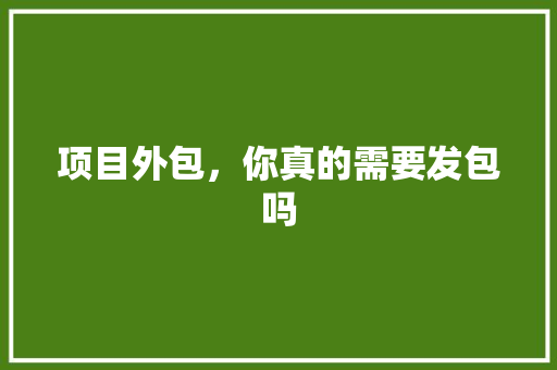 项目外包，你真的需要发包吗 神马SEO