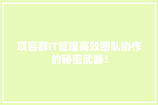 项目群IT管理高效团队协作的秘密武器！ 必应SEO