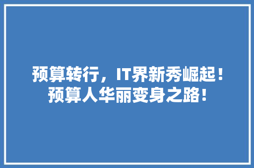 预算转行，IT界新秀崛起！预算人华丽变身之路！