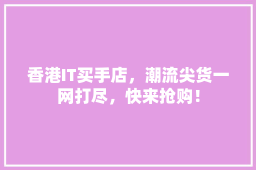 香港IT买手店，潮流尖货一网打尽，快来抢购！