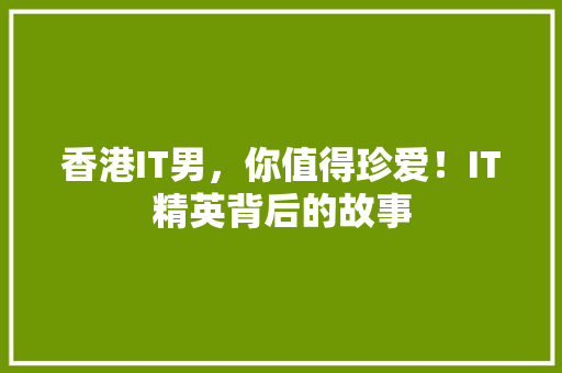 香港IT男，你值得珍爱！IT精英背后的故事