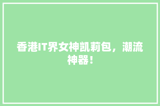 香港IT界女神凯莉包，潮流神器！