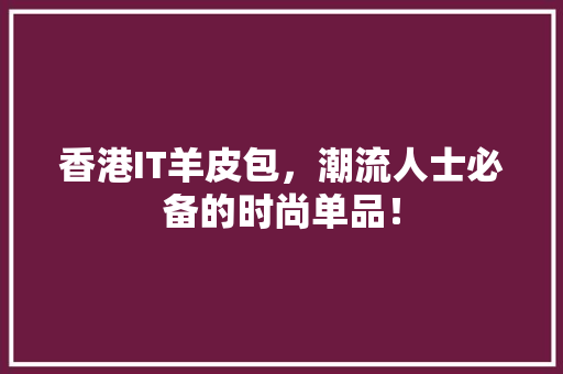 香港IT羊皮包，潮流人士必备的时尚单品！