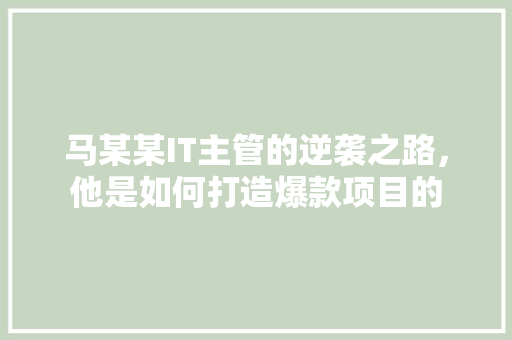 马某某IT主管的逆袭之路，他是如何打造爆款项目的