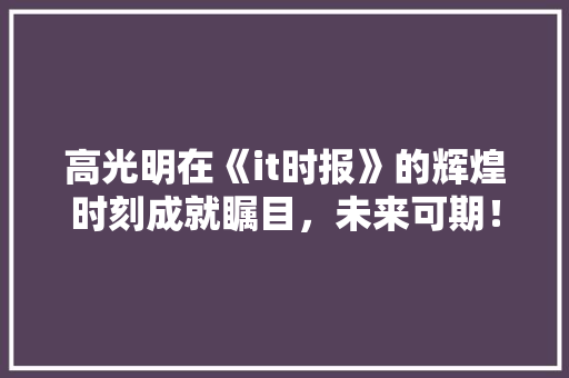 高光明在《it时报》的辉煌时刻成就瞩目，未来可期！