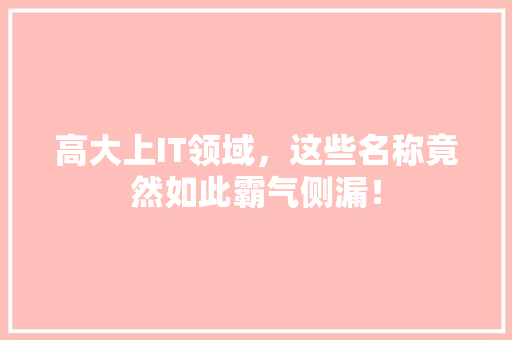 高大上IT领域，这些名称竟然如此霸气侧漏！