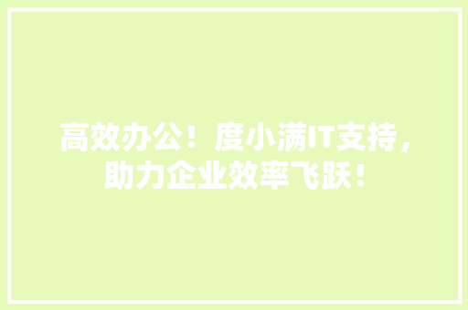 高效办公！度小满IT支持，助力企业效率飞跃！