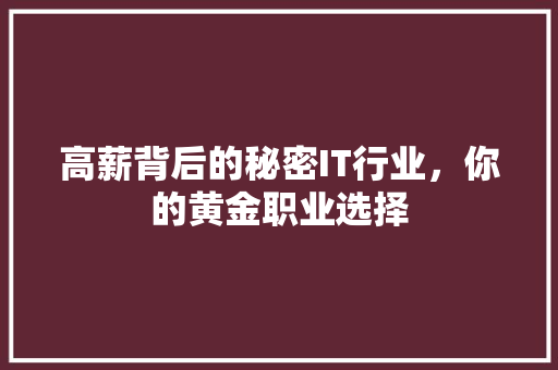高薪背后的秘密IT行业，你的黄金职业选择