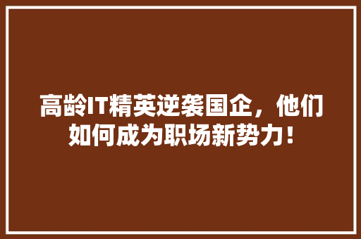 高龄IT精英逆袭国企，他们如何成为职场新势力！