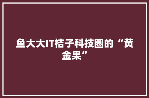 鱼大大IT桔子科技圈的“黄金果”