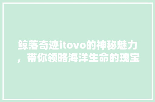 鲸落奇迹itovo的神秘魅力，带你领略海洋生命的瑰宝！