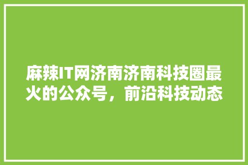 麻辣IT网济南济南科技圈最火的公众号，前沿科技动态！