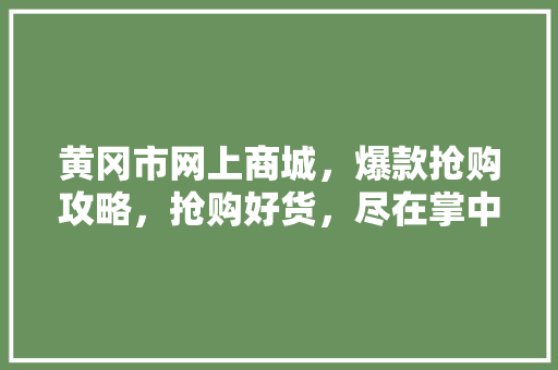 黄冈市网上商城，爆款抢购攻略，抢购好货，尽在掌中！