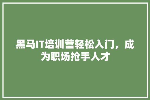 黑马IT培训营轻松入门，成为职场抢手人才