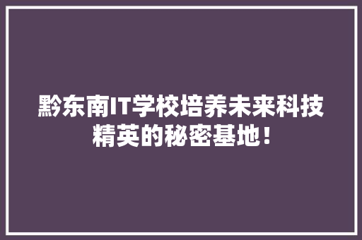 黔东南IT学校培养未来科技精英的秘密基地！