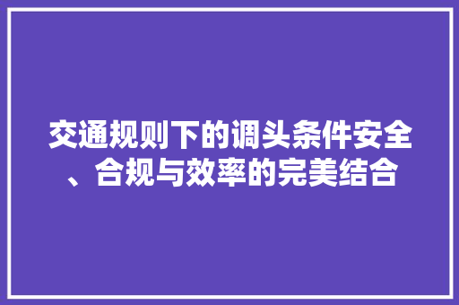 交通规则下的调头条件安全、合规与效率的完美结合