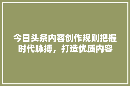 今日头条内容创作规则把握时代脉搏，打造优质内容
