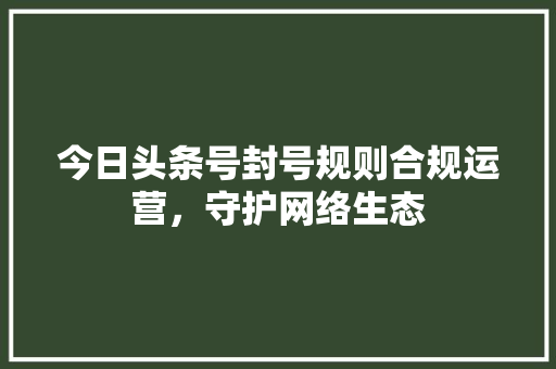 今日头条号封号规则合规运营，守护网络生态