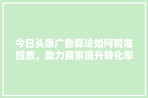 今日头条广告算法如何精准投放，助力商家提升转化率 必应SEO