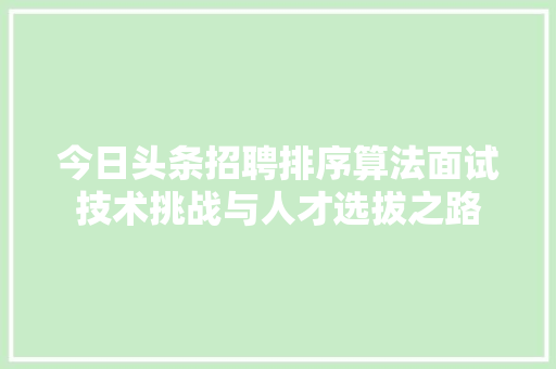 今日头条招聘排序算法面试技术挑战与人才选拔之路 必应SEO