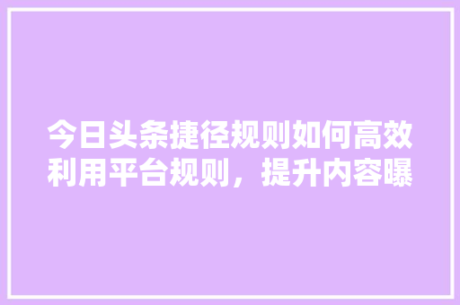 今日头条捷径规则如何高效利用平台规则，提升内容曝光率