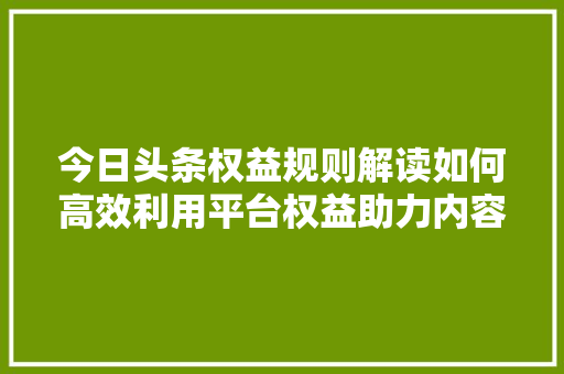 今日头条权益规则解读如何高效利用平台权益助力内容创作 百度SEO