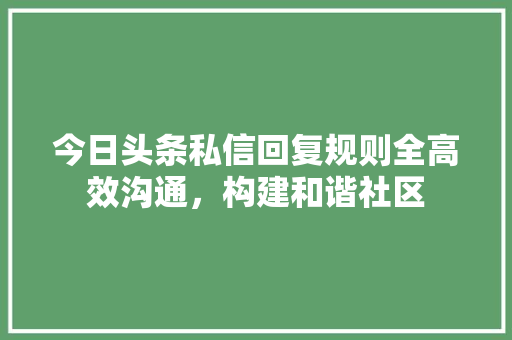 今日头条私信回复规则全高效沟通，构建和谐社区