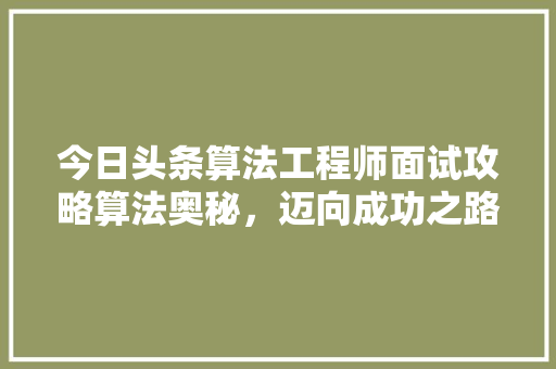 今日头条算法工程师面试攻略算法奥秘，迈向成功之路 必应SEO