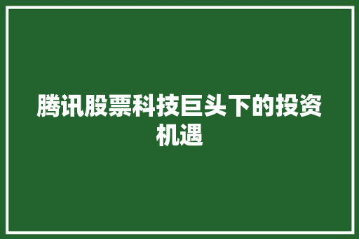 腾讯股票科技巨头下的投资机遇 神马SEO