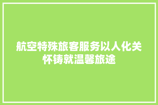 航空特殊旅客服务以人化关怀铸就温馨旅途 神马SEO