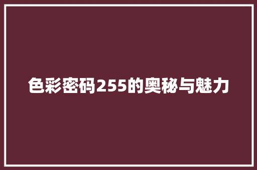色彩密码255的奥秘与魅力 GoogleSEO