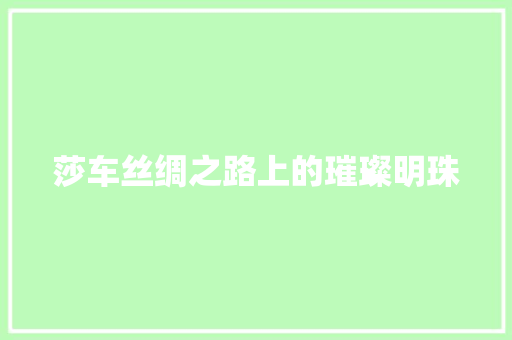 莎车丝绸之路上的璀璨明珠 必应SEO