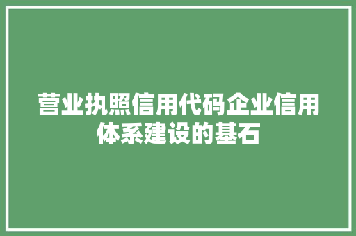 营业执照信用代码企业信用体系建设的基石 百度SEO