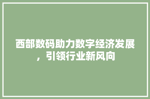 西部数码助力数字经济发展，引领行业新风向 神马SEO