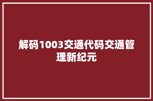 解码1003交通代码交通管理新纪元 必应SEO