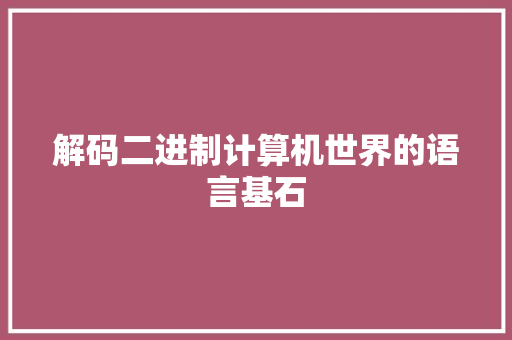 解码二进制计算机世界的语言基石 神马SEO