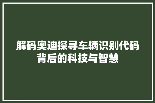 解码奥迪探寻车辆识别代码背后的科技与智慧 神马SEO
