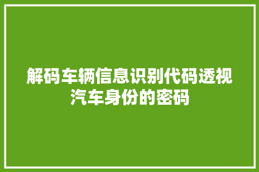 解码车辆信息识别代码透视汽车身份的密码 神马SEO