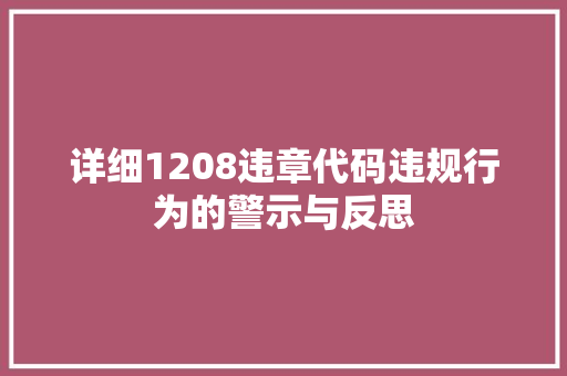 详细1208违章代码违规行为的警示与反思 搜狗SEO