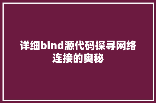 详细bind源代码探寻网络连接的奥秘 GoogleSEO