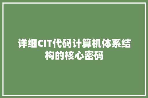 详细CIT代码计算机体系结构的核心密码