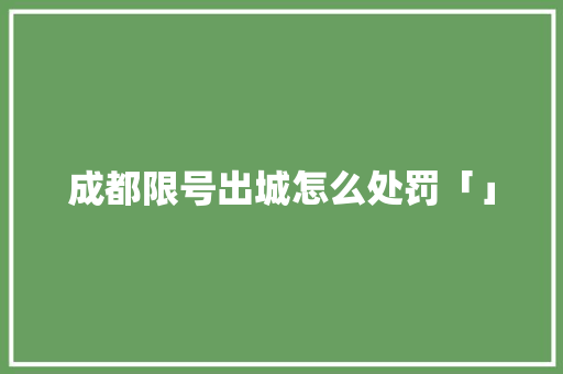 成都限号出城怎么处罚「」 成都限号出城怎么处罚「」 神马SEO