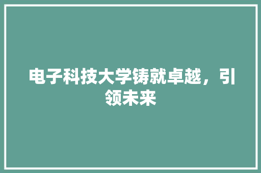 电子科技大学铸就卓越，引领未来