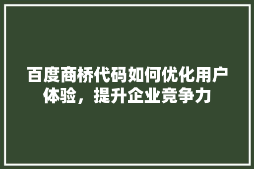 百度商桥代码如何优化用户体验，提升企业竞争力